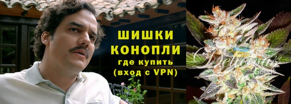 эйфоретик Алексин