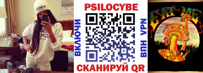Псилоцибиновые грибы Psilocybe  сколько стоит  Боровск 